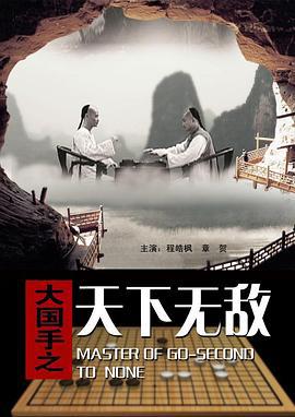 大国手之天下无敌 (2010)海报