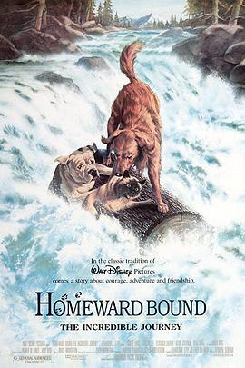 看狗在说话 Homeward Bound: The Incredible Journey (1993)海报