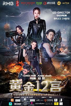 黄金十二宫 (2016)海报