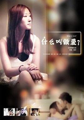 什么叫做爱 (2013)海报