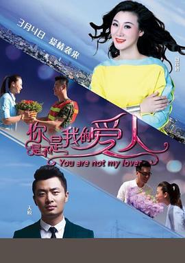 你是不是我的爱人 (2016)海报