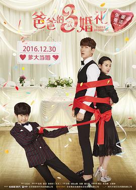 爸爸的3次婚礼 (2016)海报