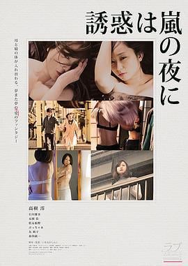 雨夜的诱惑 誘惑は嵐の夜に (2016)海报