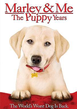 马利和我2 Marley & Me: The Puppy Years (2011)海报