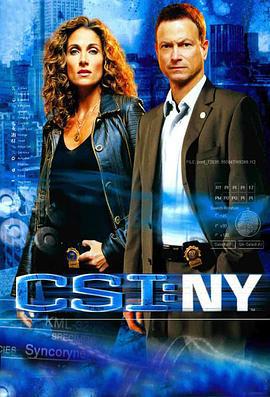 犯罪现场调查：纽约 第四季 CSI: NY Season 4 (2007)海报