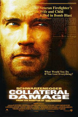 间接伤害 Collateral Damage (2002)海报