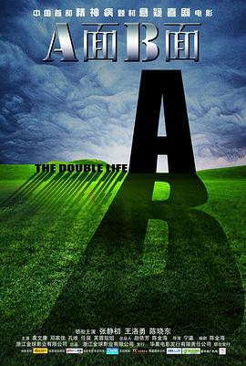 A面B面 (2010)海报