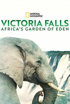 维多利亚瀑布：非洲的伊甸园 Victoria Falls: Africa's Garden of Eden (2021)海报