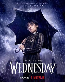 星期三 Wednesday (2022)海报