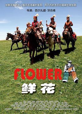 鲜花 (2009)海报
