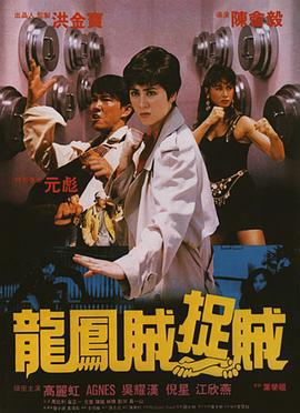 龙凤贼捉贼 龍鳳賊捉賊 (1990)海报