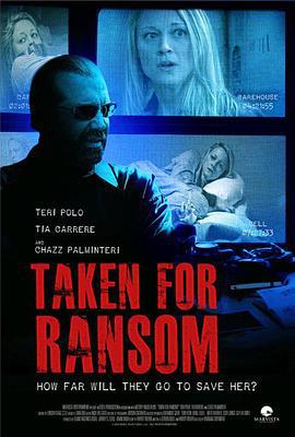 最后的救援 Taken for Ransom (2013)海报