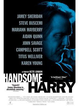 英俊的哈里 Handsome Harry (2010)海报