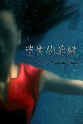 遗失的美好 (2016)海报