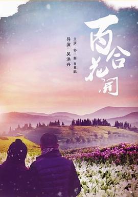 百合花开 (2011)海报