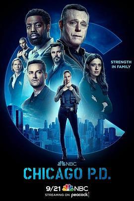 芝加哥警署 第十季 Chicago P.D. Season 10 (2022)海报