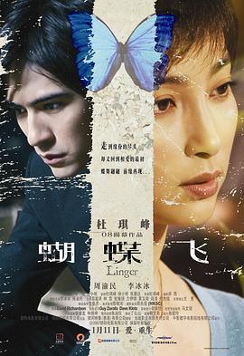 蝴蝶飞 (2008)海报