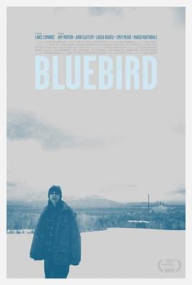 青鸟 Bluebird (2013)海报