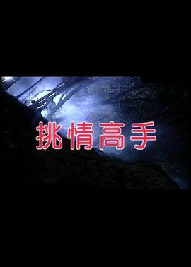 挑情高手 (1995) zhong_zi海报
