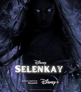 Selenkay (2024)海报