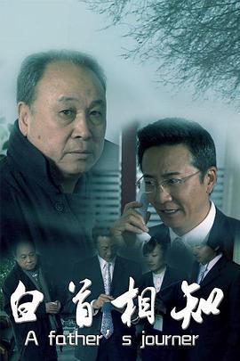 白首相知 (2010)海报