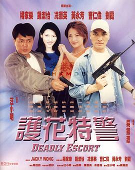 护花特警 (1999)海报