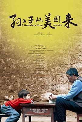 孙子从美国来 (2012)海报