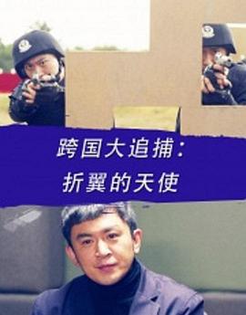 跨国大追捕：折翼的天使 (2016)海报