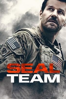 海豹突击队 第二季 SEAL Team Season 2 (2018)海报
