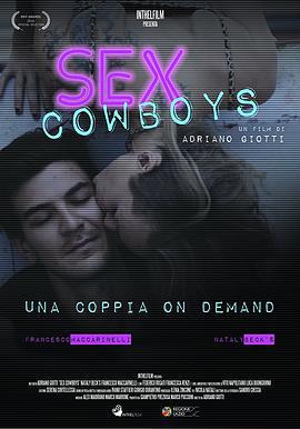 性爱牛仔 Sex Cowboys (2016)海报